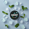 Buy Garant Nicotine Pouches - Pack of 10 Fresh Mint