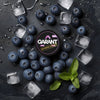 Buy Garant Nicotine Pouches - Pack of 10 Ice Blue Berry