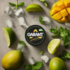 Buy Garant Nicotine Pouches - Pack of 10 Mango Lime