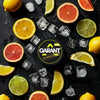 Buy Garant Nicotine Pouches - Pack of 10 Citrus